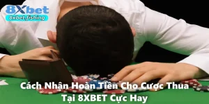Cách Nhận Hoàn Tiền Cho Cược Thua Tại 8XBET Cực Hay